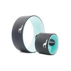 Plexus 2 Wheel Pack