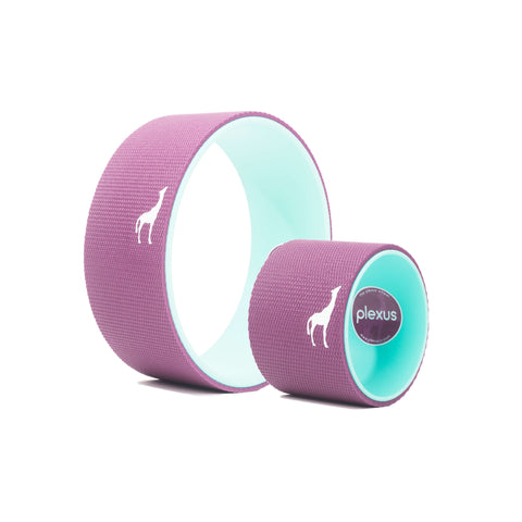 Plexus 2 Wheel Pack