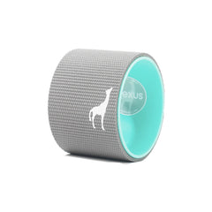 Plexus Micro Wheel