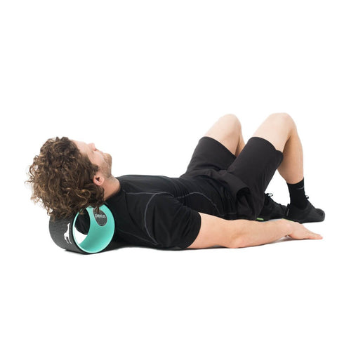 Plexus Micro Wheel