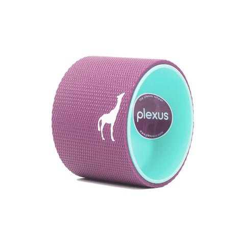 Plexus Micro Wheel