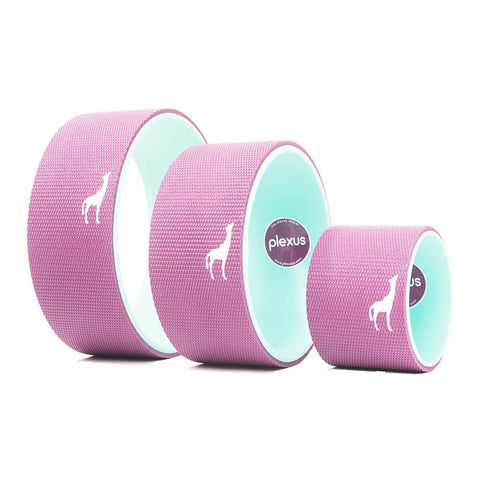 Plexus 3 Wheel Pack