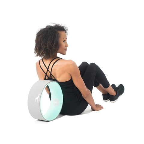 Plexus Standard Wheel