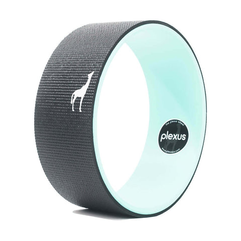 Plexus Standard Wheel