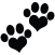 PlexusDev